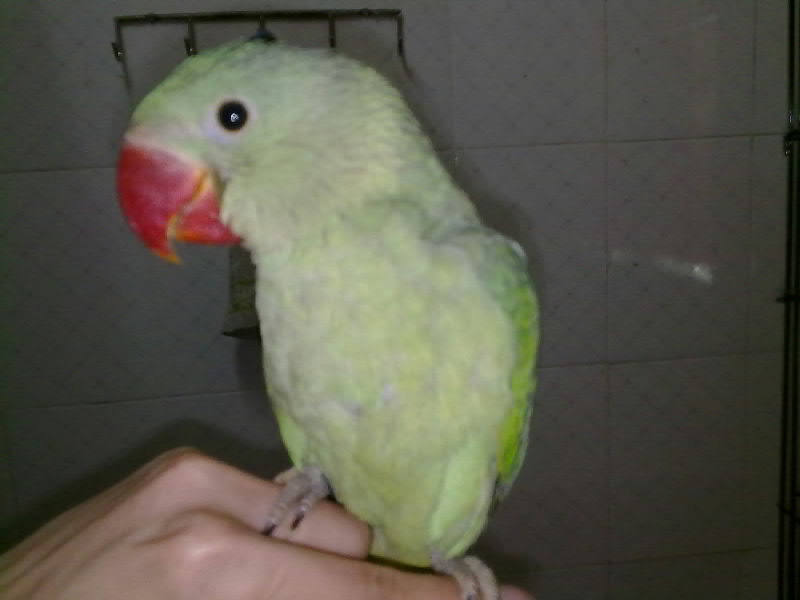 治理“黑物流”需知难而上_BJL平台集团(图2) BJL平台