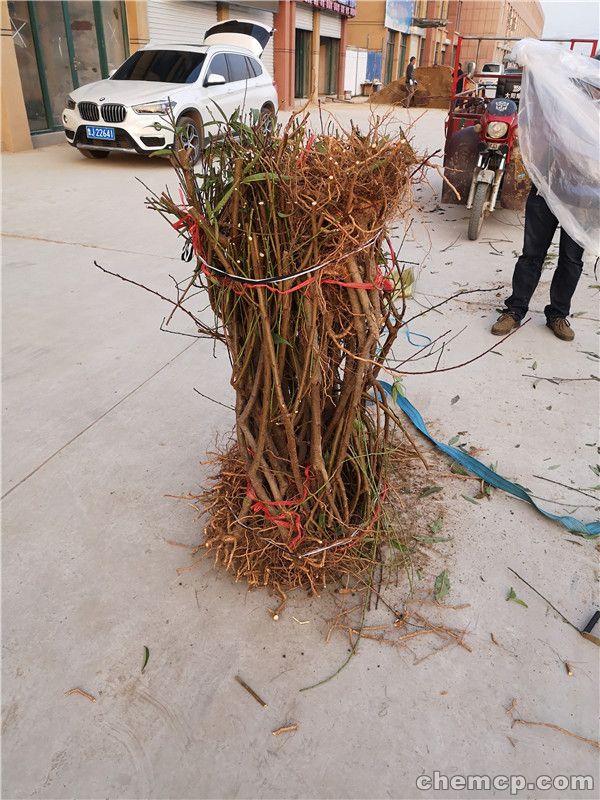 BJL平台集团-让金融之水流向实体经济(图2) BJL平台