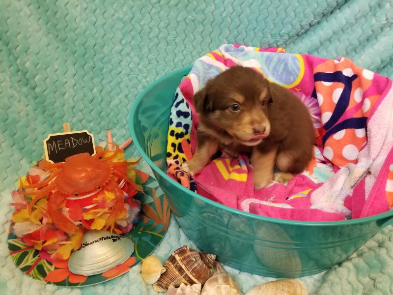 2019年2月份适合做的整形项目【BJL平台集团】(图2) BJL平台集团