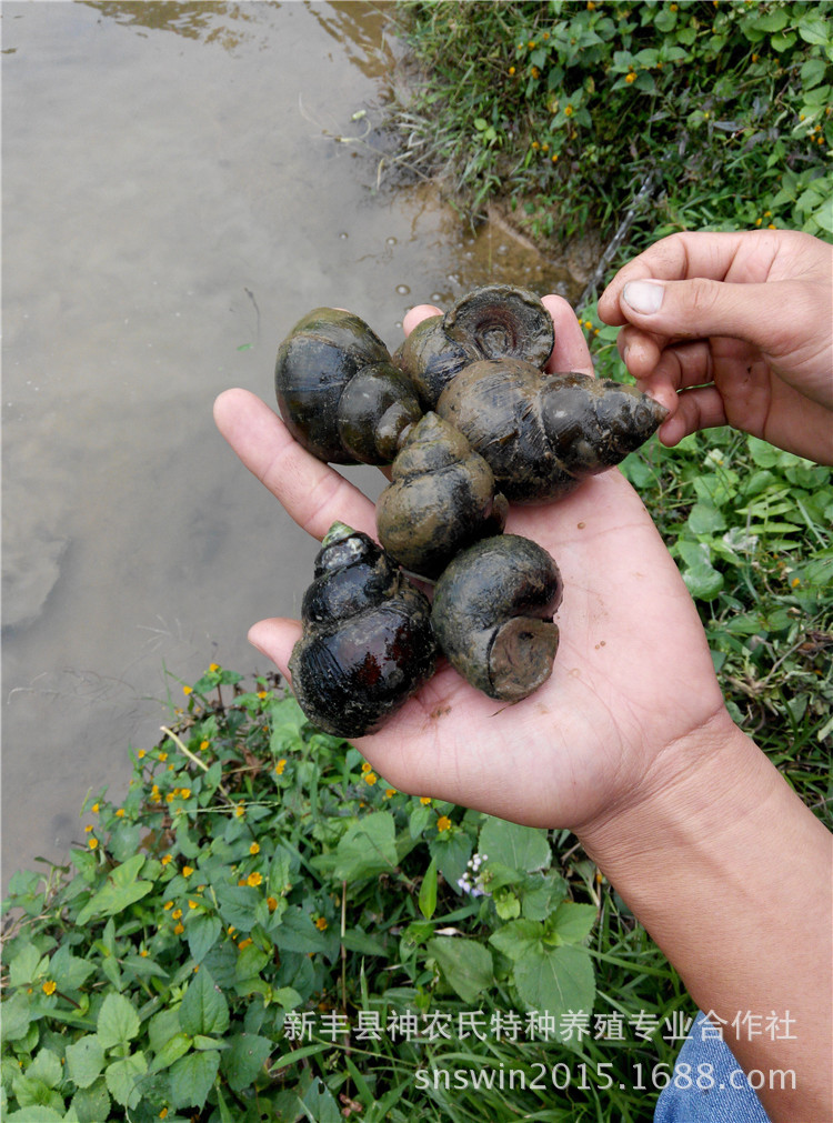 考医学磨练技师需要知道哪些信息?如何准备最高效?_BJL平台集团(图2) BJL平台