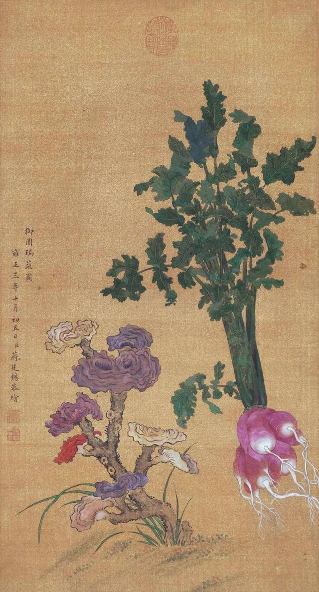 BJL平台集团-猎鹰解期:苹果期货3月3日交易建议(图1) BJL平台集团