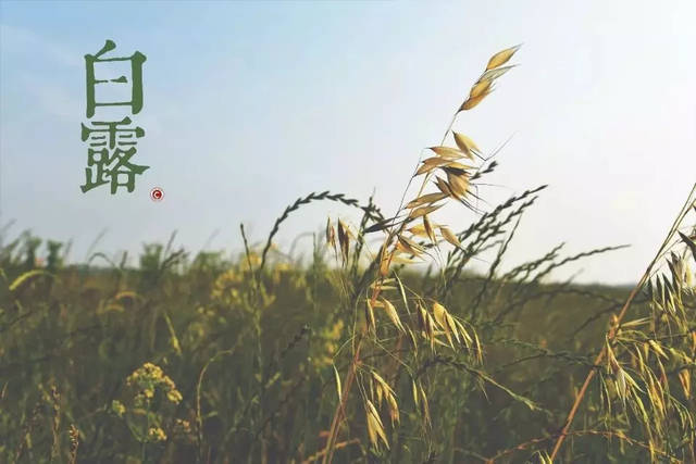 BJL平台集团|共享单车治理要找到放管平衡点(图4) BJL平台集团