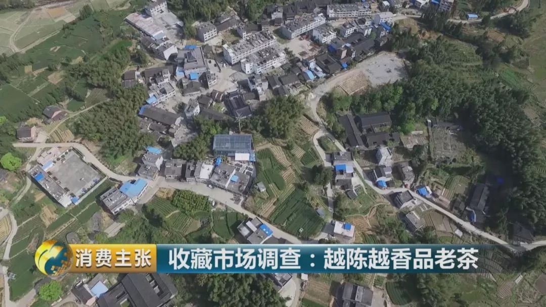 BJL平台集团|有悖市场规则都是在“烧钱挖坑”(图1) BJL平台集团